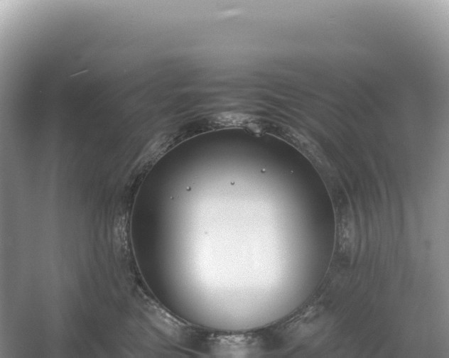 X0000054390473200508051652