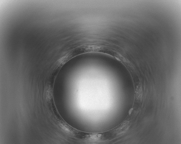 X0000054390474200508051652