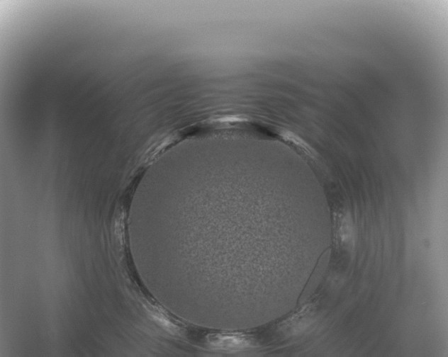 X0000054390475200508051652