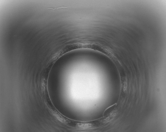 X0000054390476200508051652