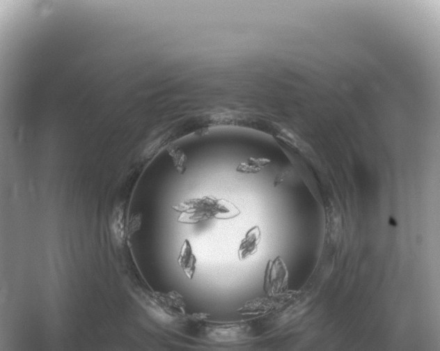 X0000054390479200508051652