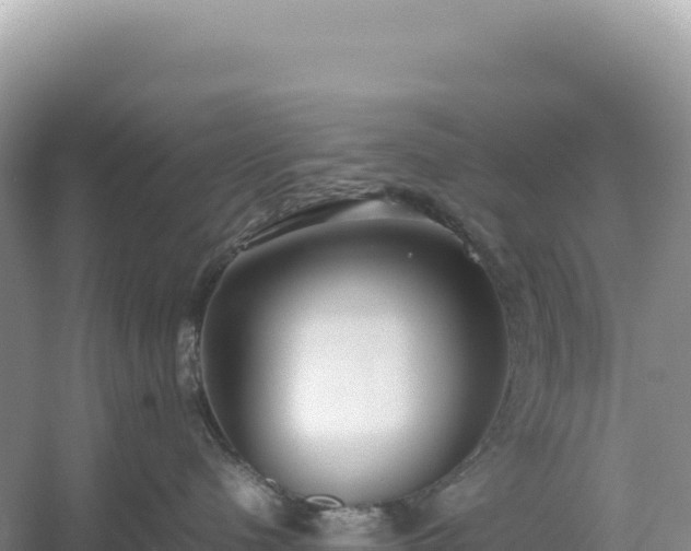 X0000054390480200508051652