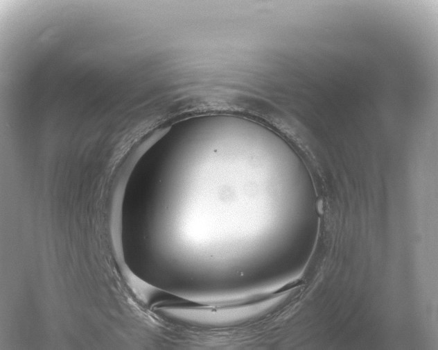 X0000054390481200508051651