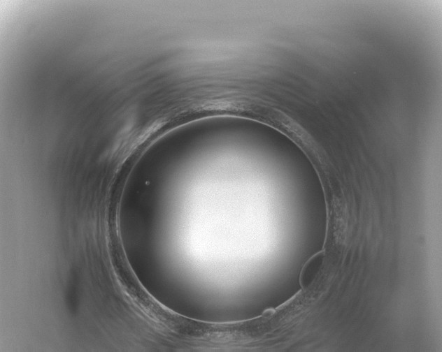 X0000054390482200508051651