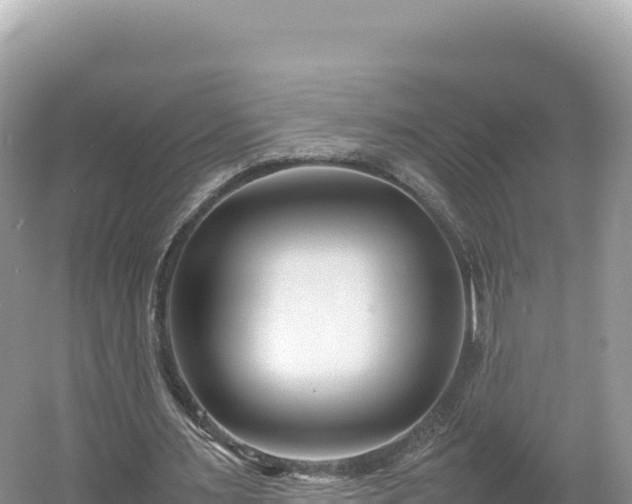 X0000054390483200508051651