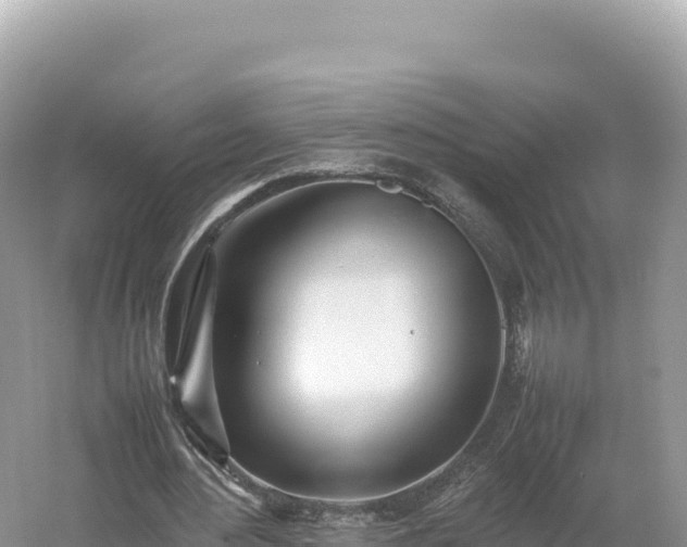 X0000054390484200508051651