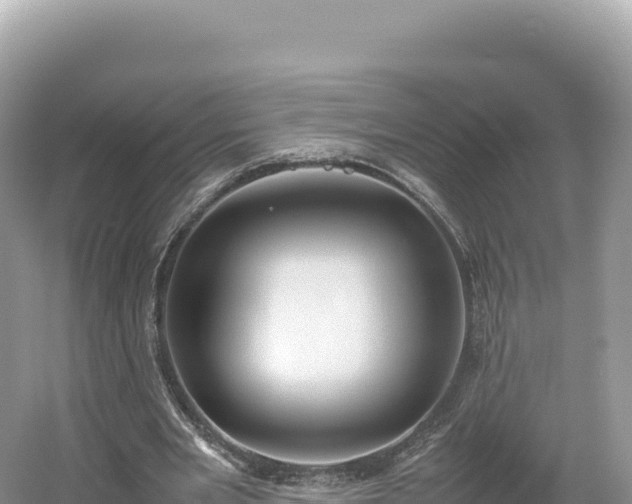 X0000054390485200508051651