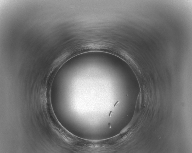 X0000054390486200508051651