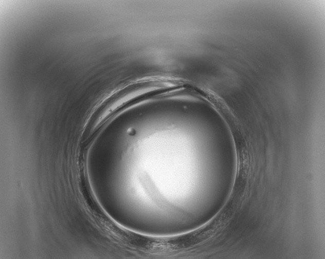 X0000054390487200508051651