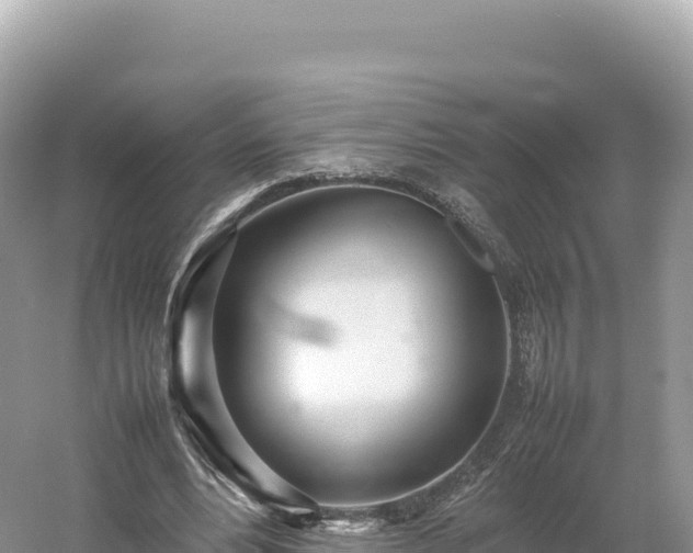 X0000054390488200508051651