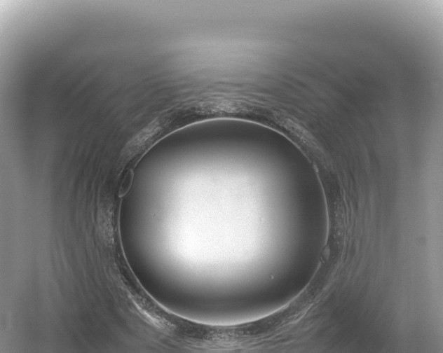 X0000054390489200508051651