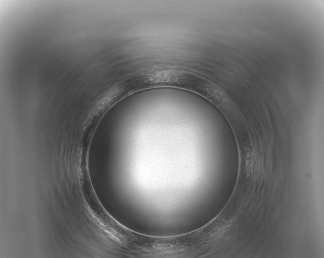 X0000054390490200508051651