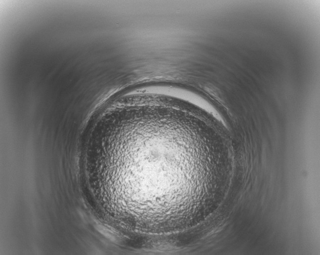 X0000054390491200508051651