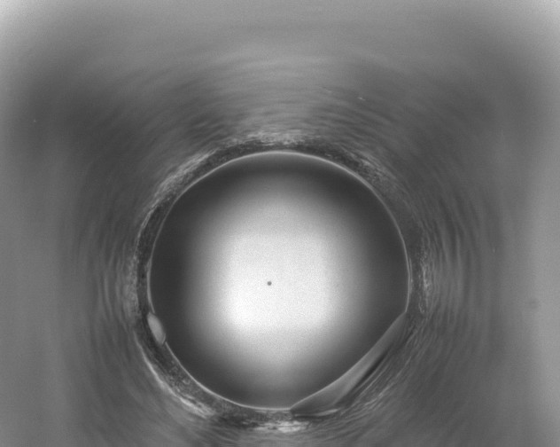 X0000054390492200508051651