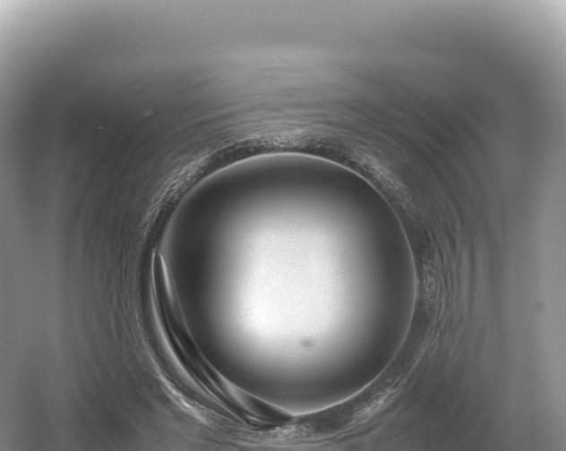 X0000054390493200508051651