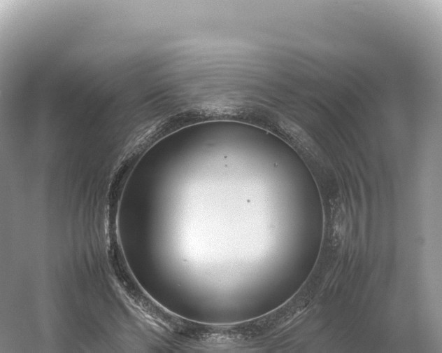 X0000054390494200508051651