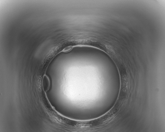 X0000054390495200508051651