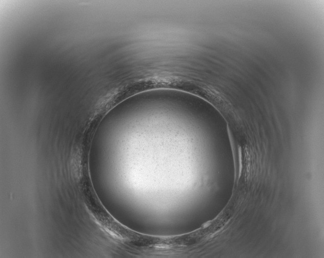 X0000054390496200508051651