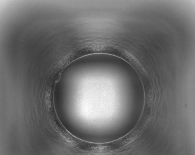 X0000054390497200508051651