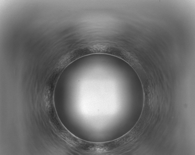 X0000054390498200508051651