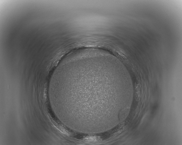 X0000054390499200508051651