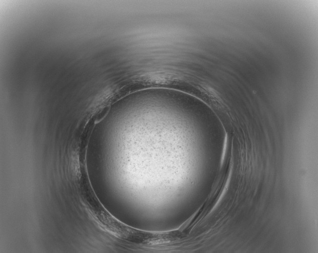 X0000054390500200508051651