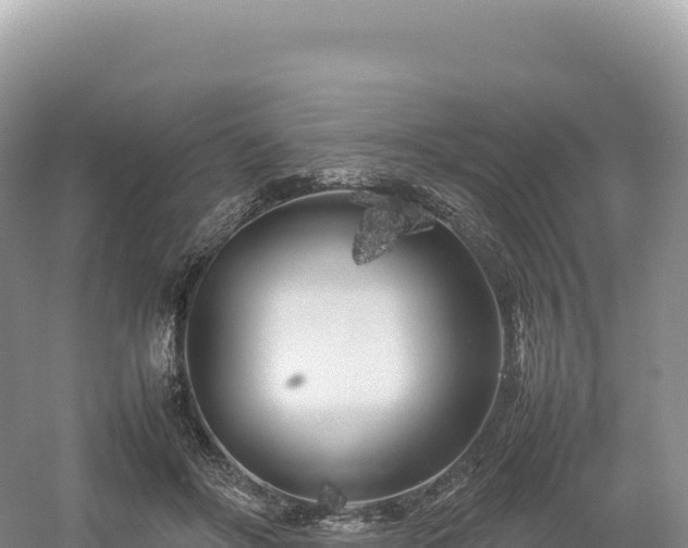 X0000054390502200508051651