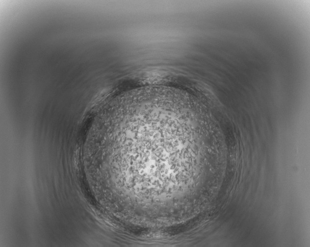 X0000054390503200508051651