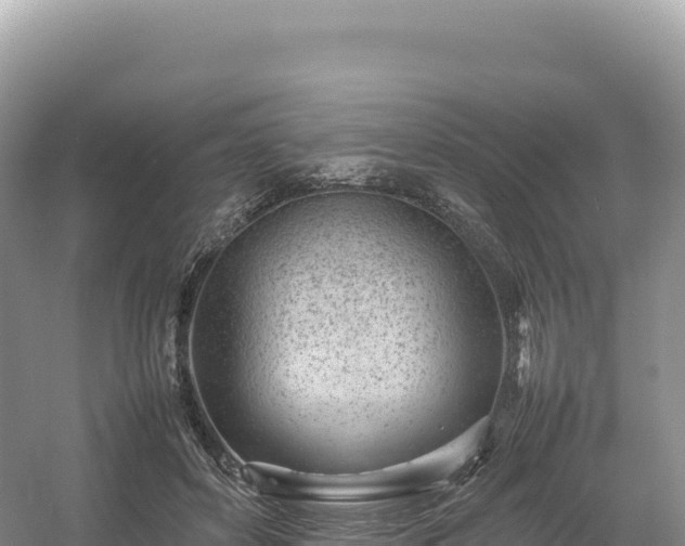 X0000054390504200508051651