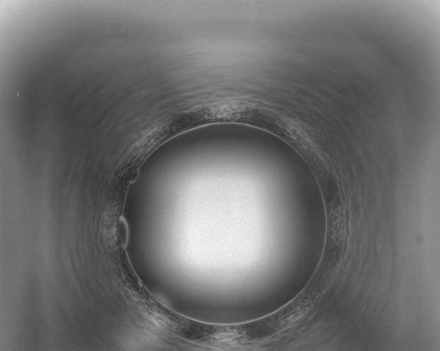 X0000054390505200508051651