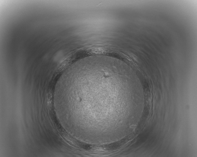 X0000054390507200508051651