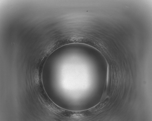 X0000054390508200508051651