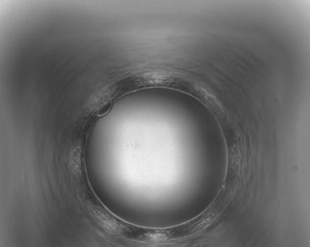 X0000054390509200508051651