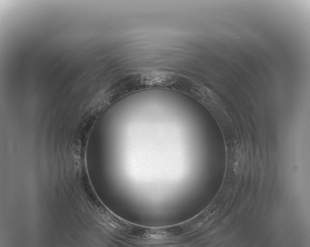 X0000054390510200508051651