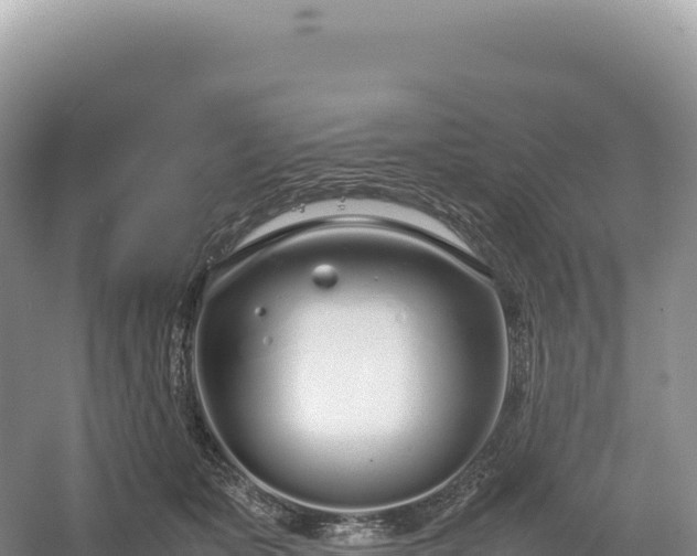 X0000054390511200508051651