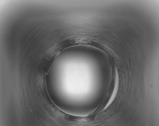 X0000054390513200508051651