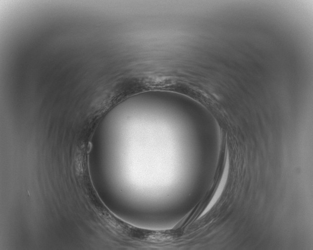 X0000054390515200508051651