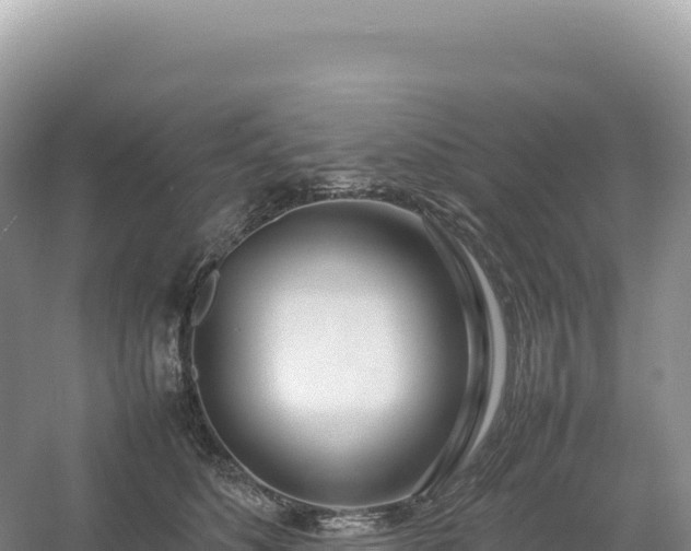 X0000054390516200508051651