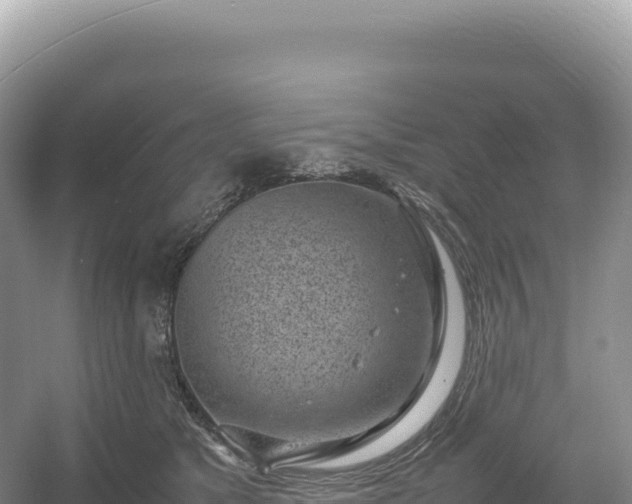 X0000054390517200508051651