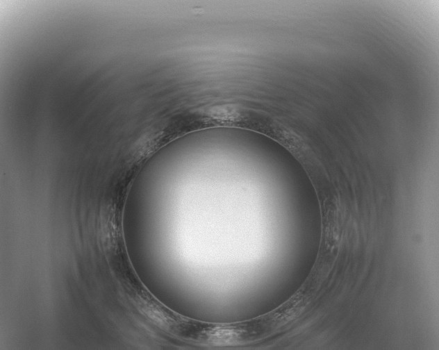 X0000054390518200508051651