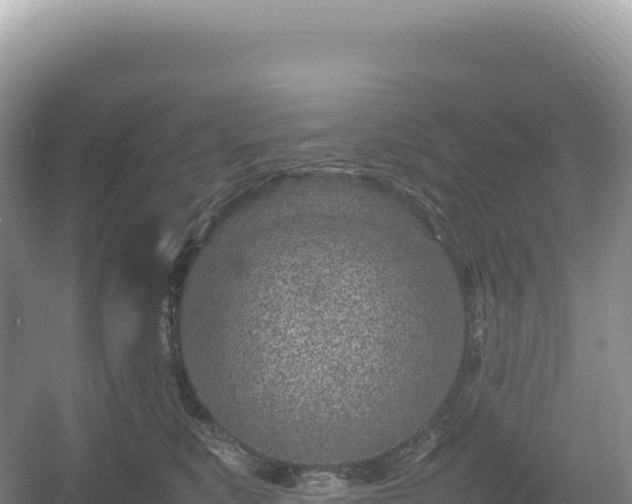 X0000054390519200508051651