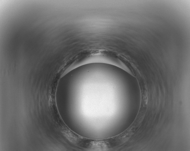 X0000054390520200508051651