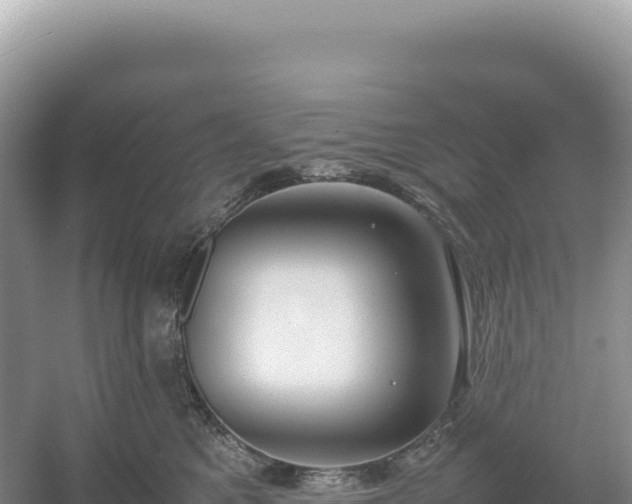 X0000054390521200508051651