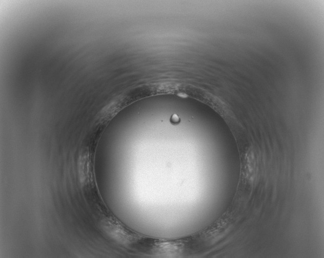 X0000054390522200508051651