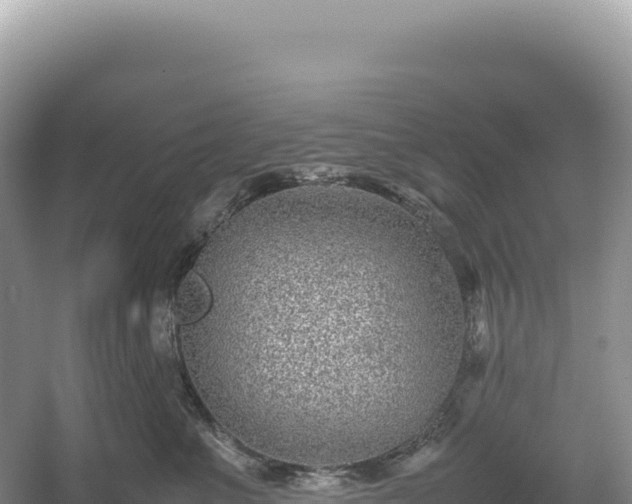 X0000054390523200508051651