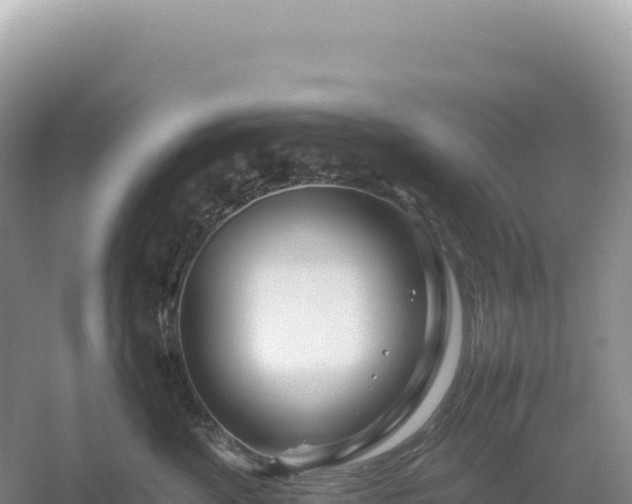 X0000054390524200508051651