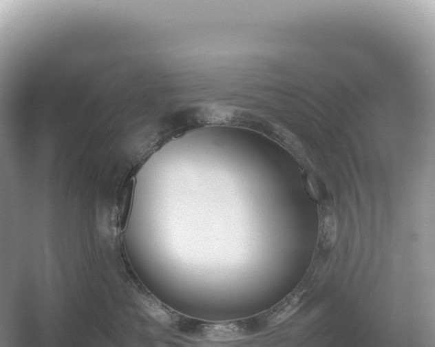 X0000054390525200508051651