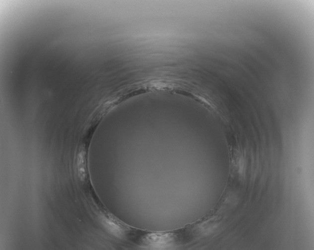 X0000054390526200508051651