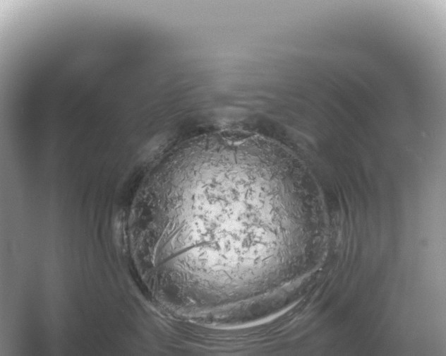 X0000054390527200508051650