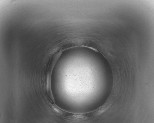 X0000054390528200508051650